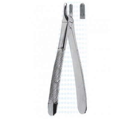 Extracting Forceps